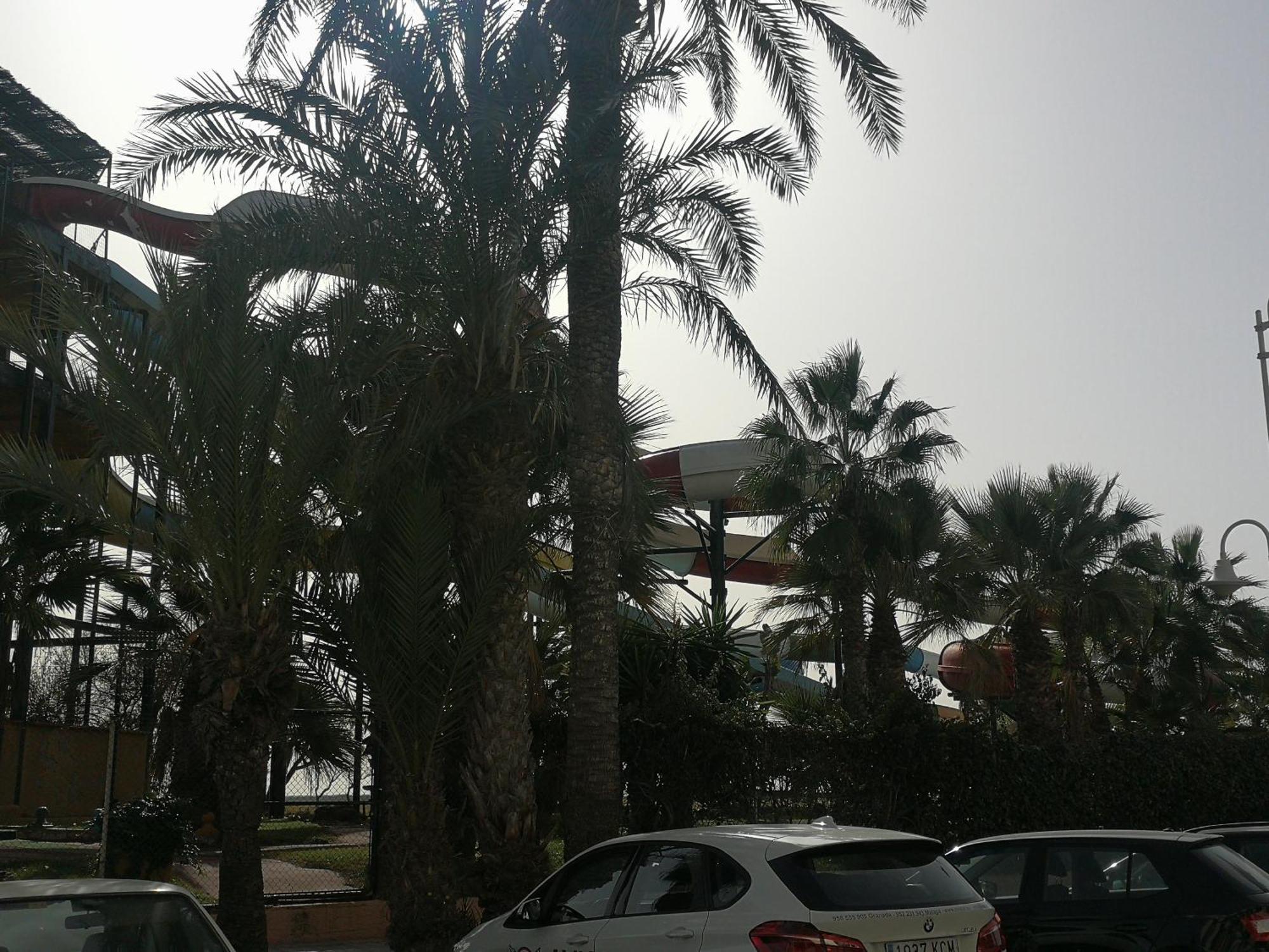 Apartamento Playa Velilla Park II Almuñécar Exterior foto